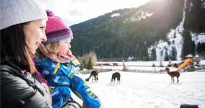 Winter Alphotel Tyrol
