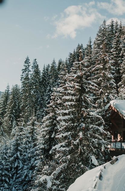 Winter holiday Chalet