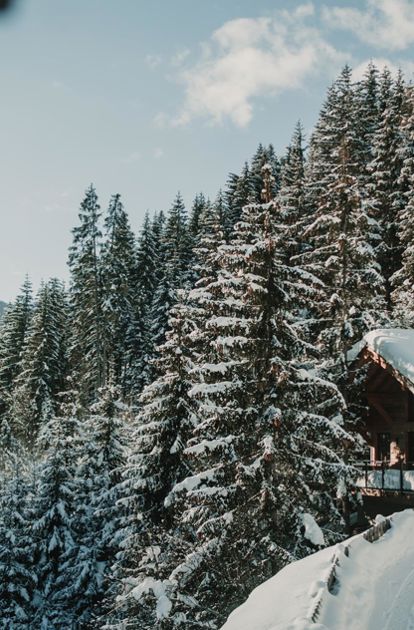 Winterurlaub Chalet