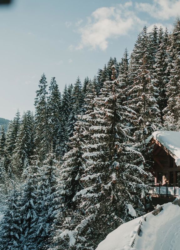 Winterurlaub Chalet