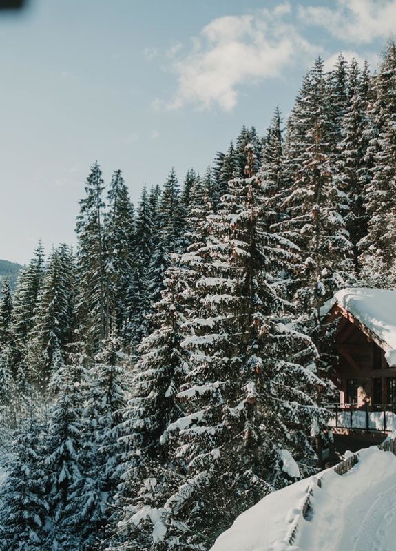 Winter holiday Chalet