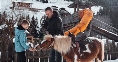 Pony füttern