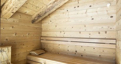 Mountain Chalet De Luxe with sauna