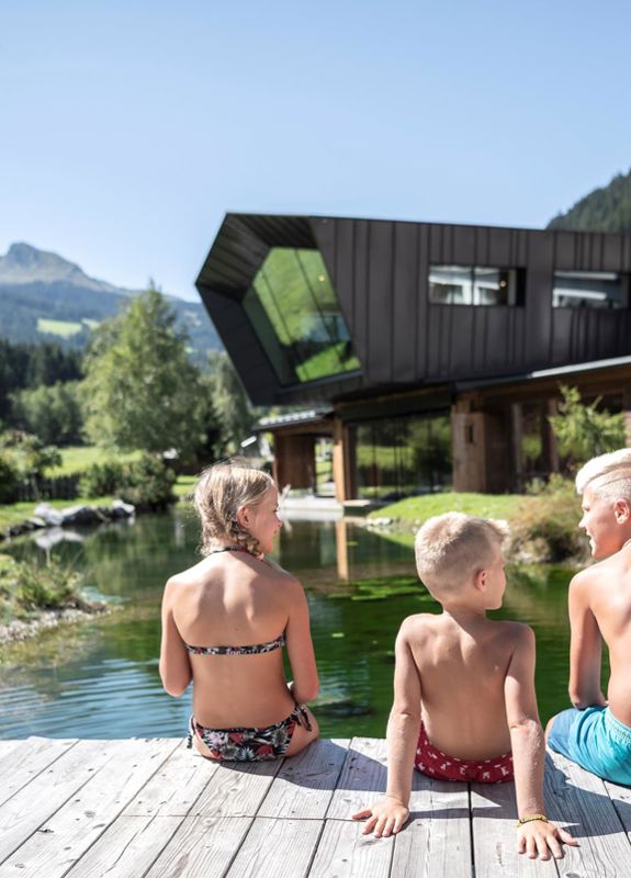 Chalet mit Pool