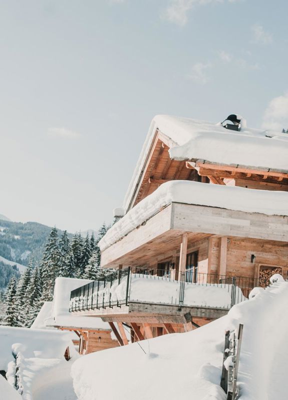 Winter Chalet Mons Silva