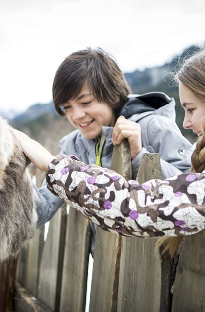 Petting zoo in winter