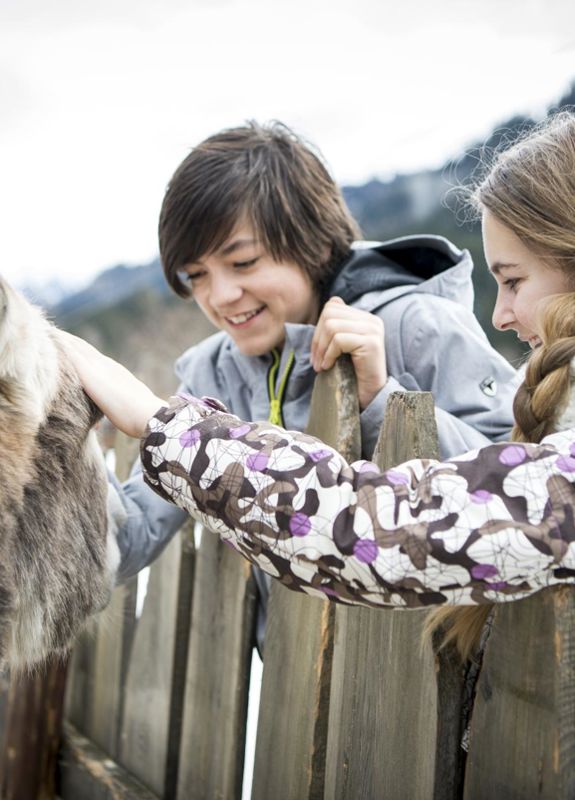 Lo zoo in inverno