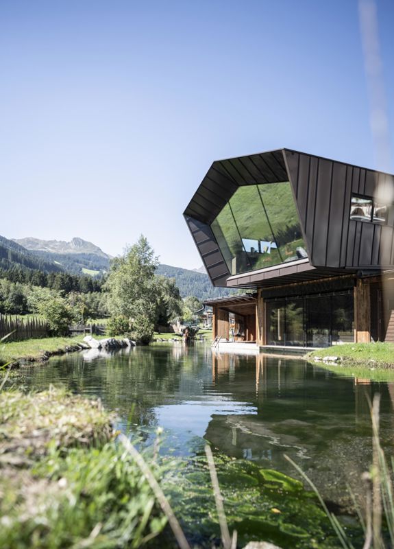 Chalet with a pond