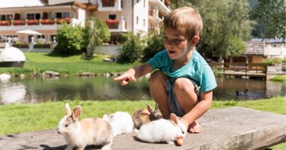 Rabbits in the petting zoo