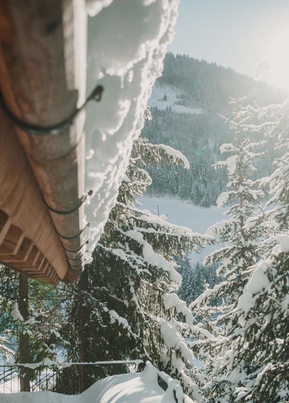 Chalet di lusso inverno